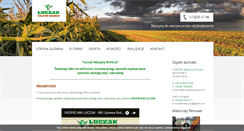Desktop Screenshot of luczakmaszyny.com